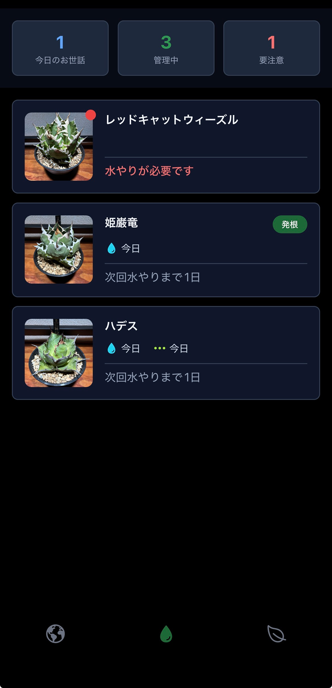 Agavey 成長記録画面